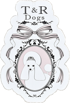 T R Dogs オリジナルチョーカー販売 手作りの可愛いアクセサリー T R Dogs オリジナルチョーカー販売 手作りの可愛いアクセサリー